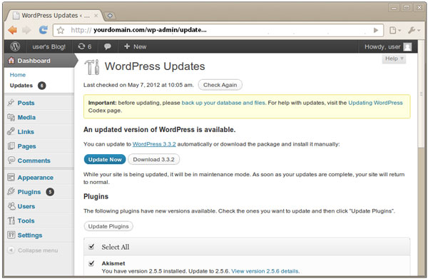 Updating WordPress DIY screenshot