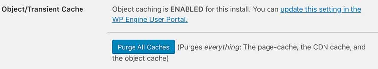 WPEngine caching options