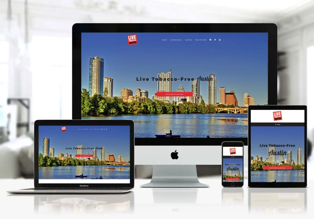 Austin Web Design - Government Website