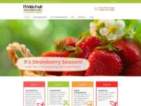 Fundraising Fruit