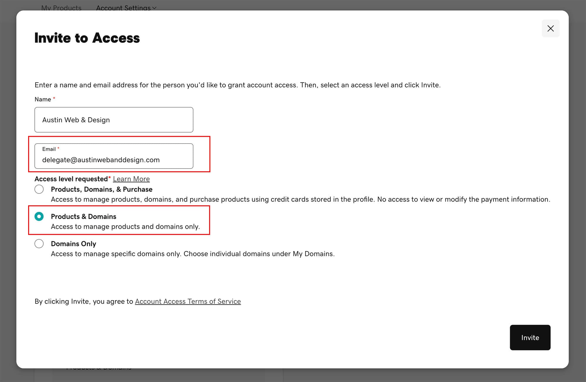 GoDaddy Invite to Access form showing the email field and Products and Domains access level
