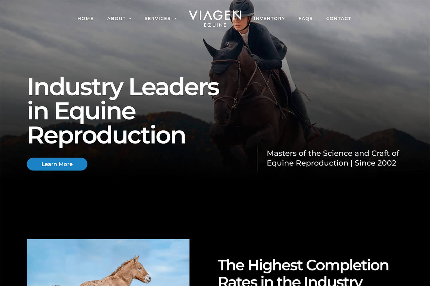 Dallas Web Design: Equine Reproduction Website