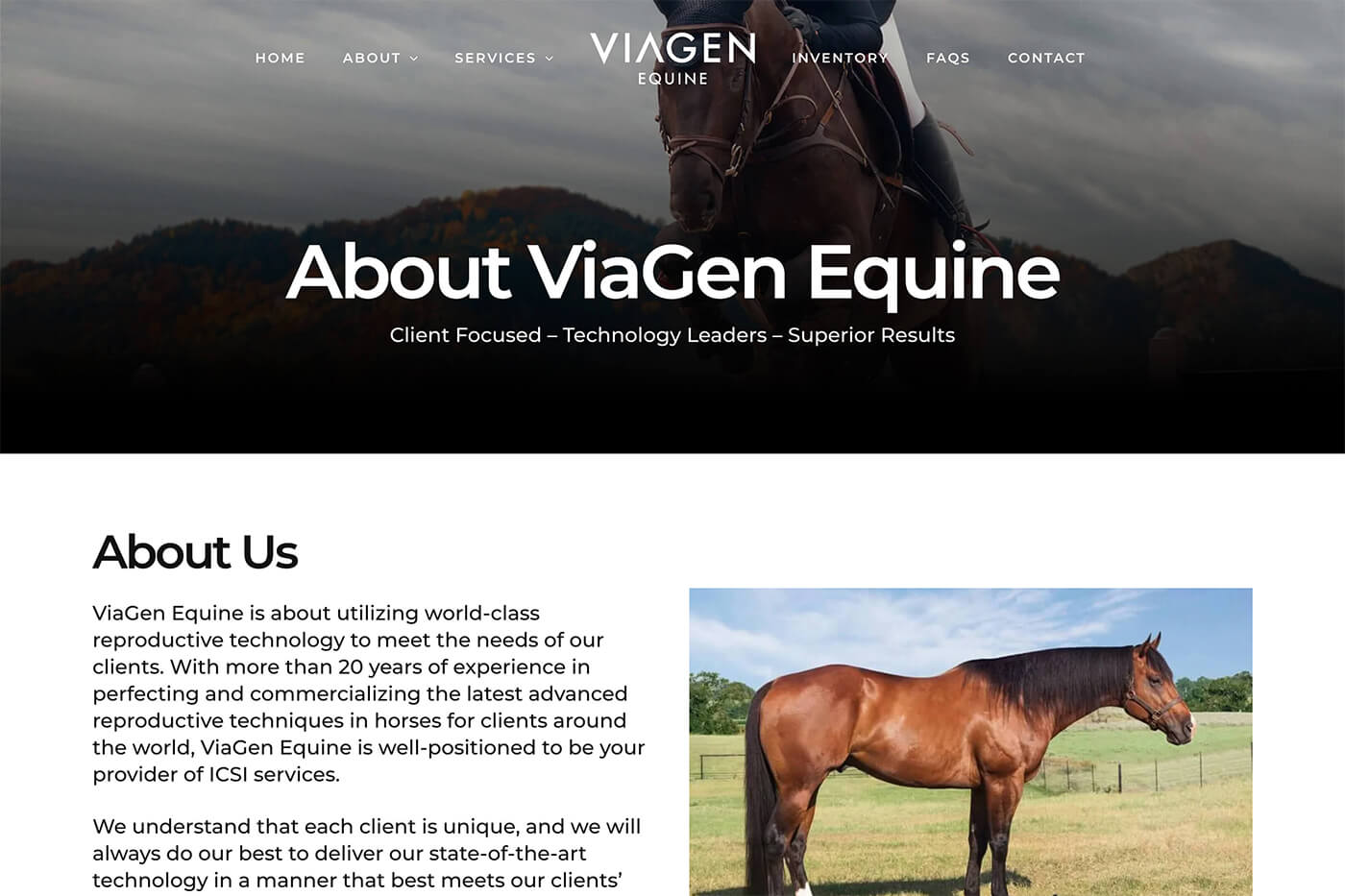 Dallas Web Design: Equine Reproduction Website