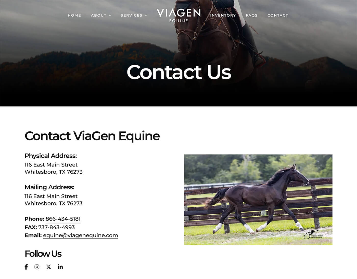 Dallas Web Design: Equine Reproduction Website