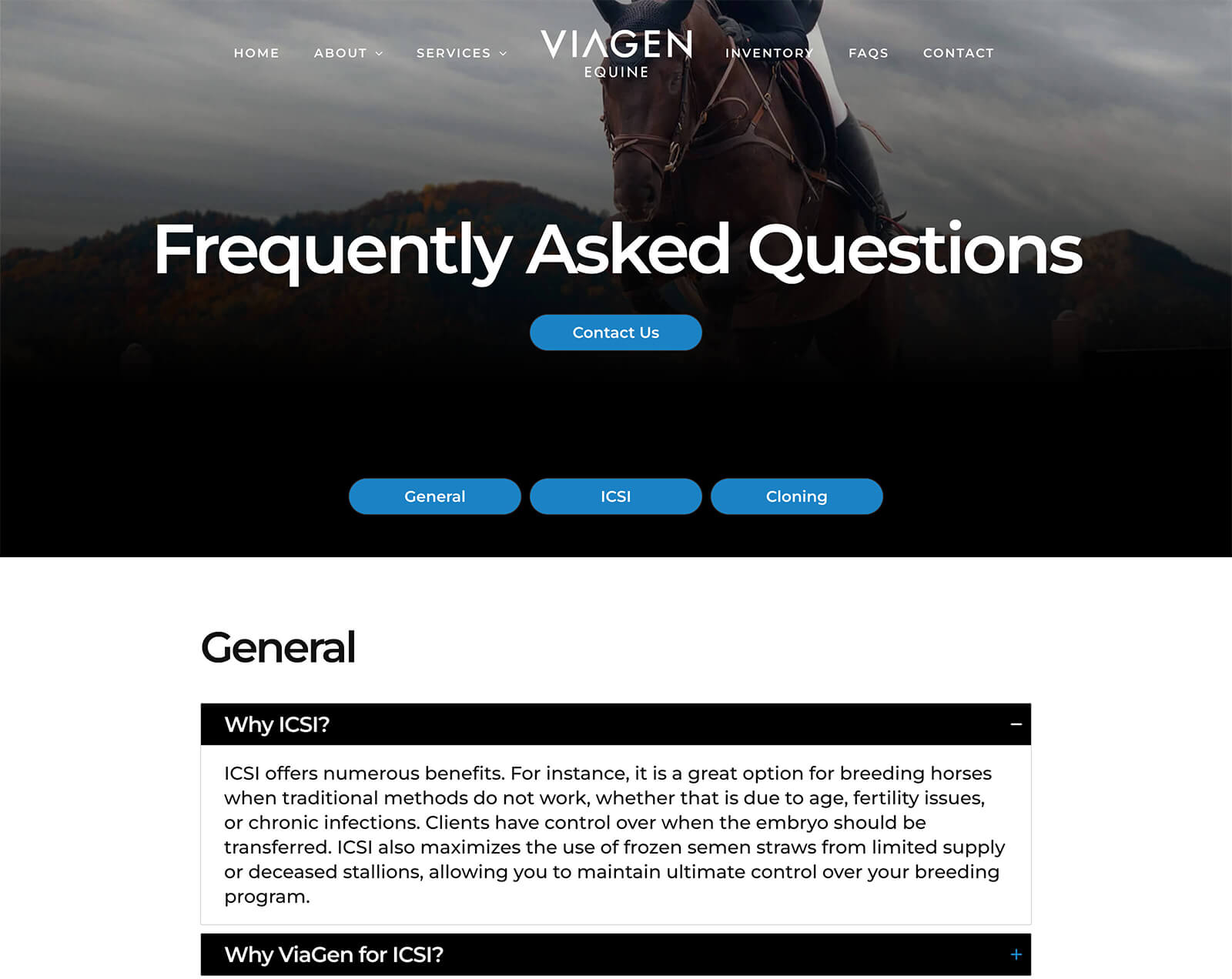 Dallas Web Design: Equine Reproduction Website