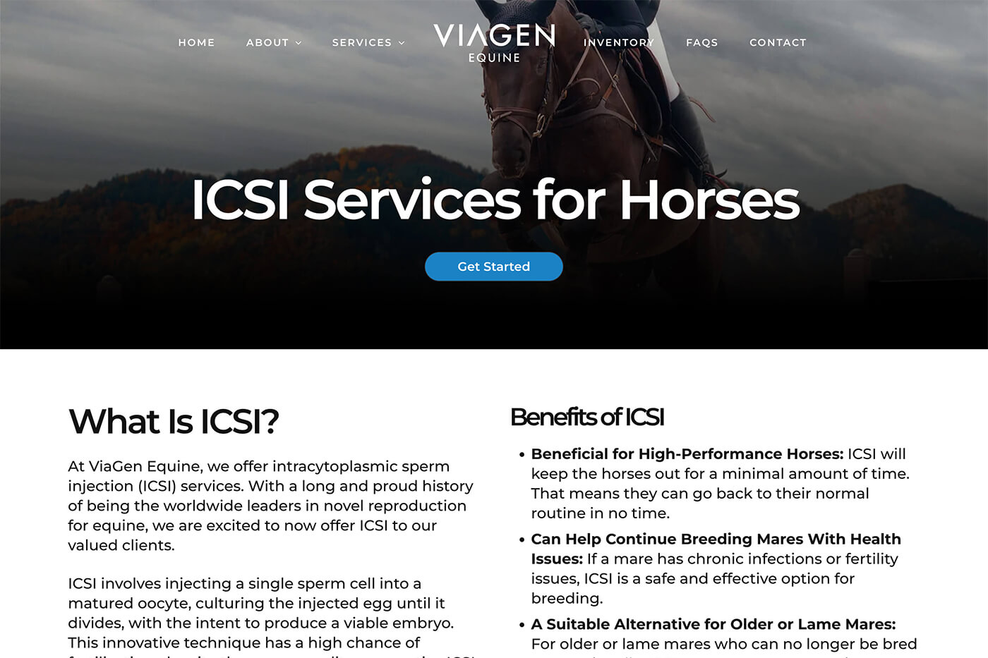 Dallas Web Design: Equine Reproduction Website