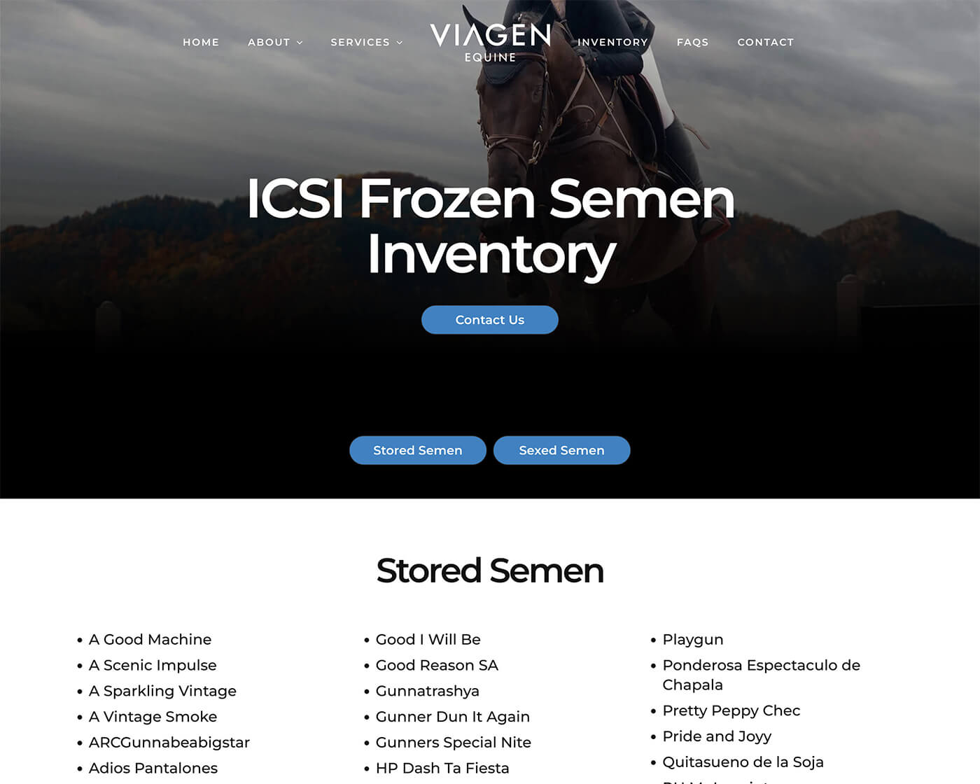 Dallas Web Design: Equine Reproduction Website