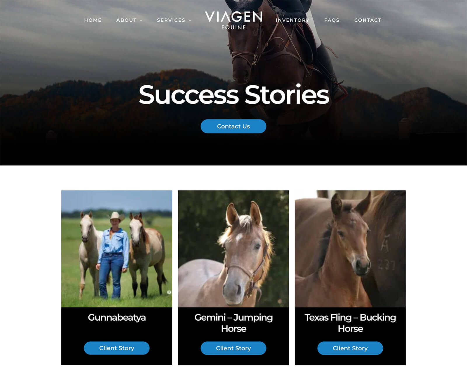 Dallas Web Design: Equine Reproduction Website