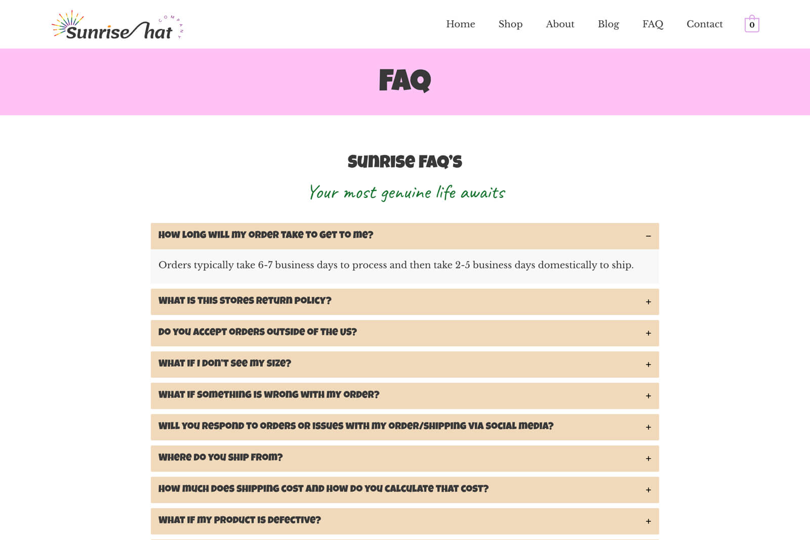 Austin Web and Design Website Project: Ecommerce, online store, retail clothing